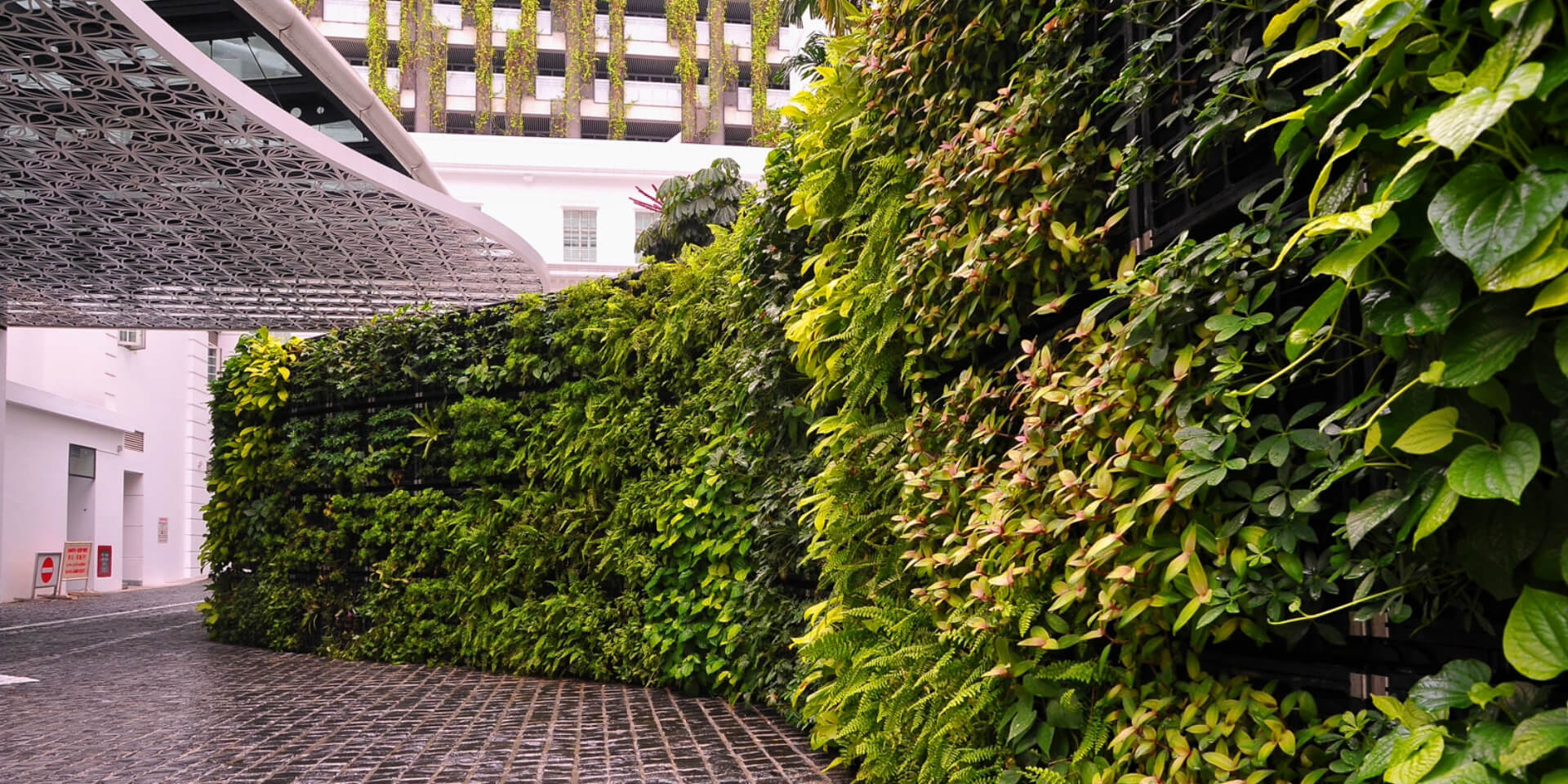 Why Do a Lot Of People Prefer Vertical Gardens at Home?